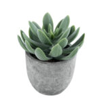 GloboStar® Artificial Garden SUCCULENT SEDEVERIA 21025 Διακοσμητικό Φυτό Παχύφυτο Σεντεβέρια Υ10.5cm - Image 2