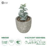 GloboStar® Artificial Garden SUCCULENT SEDEVERIA POTTED PLANT 21027 Διακοσμητικό Φυτό Σεδεβέρια  Φ5 x Υ11cm