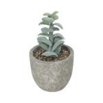 GloboStar® Artificial Garden SUCCULENT SEDEVERIA POTTED PLANT 21027 Διακοσμητικό Φυτό Σεδεβέρια  Φ5 x Υ11cm - Image 2