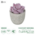 GloboStar® Artificial Garden SUCCULENT SEDEVERIA POTTED PLANT 21028 Διακοσμητικό Φυτό Σεδεβέρια  Φ5x Υ11cm