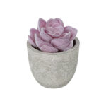 GloboStar® Artificial Garden SUCCULENT SEDEVERIA POTTED PLANT 21028 Διακοσμητικό Φυτό Σεδεβέρια  Φ5x Υ11cm - Image 2
