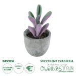 GloboStar® Artificial Garden SUCCULENT CRASULLA 21031 Διακοσμητικό Φυτό Παχύφυτο Κράσουλα Υ11cm