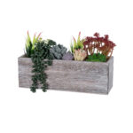GloboStar® Artificial Garden SUCCULENT VARIUS PLANT POTTED 21033 Διακοσμητικό Φυτό Μίξ Μ29 x Π10 x Υ18cm - Image 2