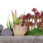GloboStar® Artificial Garden SUCCULENT VARIUS PLANT POTTED 21033 Διακοσμητικό Φυτό Μίξ Μ29 x Π10 x Υ18cm - Image 5
