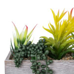 GloboStar® Artificial Garden SUCCULENT VARIUS PLANT POTTED 21034 Διακοσμητικό Φυτό Μίξ Μ23 x Π13 x Υ23cm - Image 5