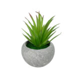 GloboStar® Artificial Garden AIR PLANT TILLANDSIA POTTED PLANT 21036 Διακοσμητικό Φυτό Τιλάντσια Φ12 x Υ15cm - Image 2