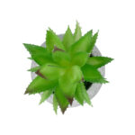 GloboStar® Artificial Garden SUCCULENT ALOE POTTED PLANT 21037 Διακοσμητικό Φυτό Αλόη Φ10 x Υ15cm - Image 3