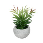 GloboStar® Artificial Garden SUCCULENT CRASSULA POTTED PLANT 21038 Διακοσμητικό Φυτό Κρασούλα  Φ10 x Υ17cm - Image 2