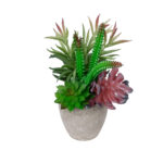 GloboStar® Artificial Garden SUCCULENT VARIUS PLANT POTTED 21039 Διακοσμητικό Φυτό Μίξ Μ17 x Υ20cm - Image 2