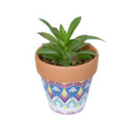 GloboStar® Artificial Garden SUCCULENT ALOE POTTED PLANT 21040 Διακοσμητικό Φυτό Αλόη Φ9 x Υ14cm - Image 2