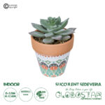 GloboStar® Artificial Garden SUCCULENT SEDEVERIA POTTED PLANT 21041 Διακοσμητικό Φυτό Σεδεβέρια  Φ11x Υ14cm