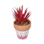 GloboStar® Artificial Garden AIR PLANT NEOPHYTUM POTTED PLANT 21042 Διακοσμητικό Φυτό Νεόφυτο Φ12 x Υ15cm - Image 2
