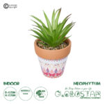 GloboStar® Artificial Garden AIR PLANT NEOPHYTUM POTTED PLANT 21043 Διακοσμητικό Φυτό Νεόφυτο Φ12 x Υ15cm