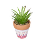 GloboStar® Artificial Garden AIR PLANT NEOPHYTUM POTTED PLANT 21043 Διακοσμητικό Φυτό Νεόφυτο Φ12 x Υ15cm - Image 2