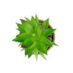 GloboStar® Artificial Garden SUCCULENT ALOE POTTED PLANT 21044 Διακοσμητικό Φυτό Αλόη Φ12 x Υ16cm - Image 3
