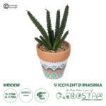 GloboStar® Artificial Garden SUCCULENT EUPHORBIA POTTED PLANT 21045 Διακοσμητικό Φυτό Ευφορβία Φ11 x Υ19cm