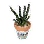 GloboStar® Artificial Garden SUCCULENT EUPHORBIA POTTED PLANT 21045 Διακοσμητικό Φυτό Ευφορβία Φ11 x Υ19cm - Image 2
