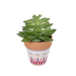GloboStar® Artificial Garden SUCCULENT ECHEVERIA POTTED PLANT 21048 Διακοσμητικό Φυτό Εχεβέρια Φ13 x Υ18cm - Image 2
