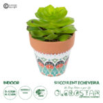 GloboStar® Artificial Garden SUCCULENT ECHEVERIA 21049 Διακοσμητικό Φυτό Παχύφυτο Εχεβέρια Υ14cm