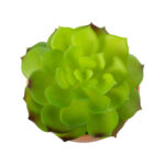 GloboStar® Artificial Garden SUCCULENT ECHEVERIA 21049 Διακοσμητικό Φυτό Παχύφυτο Εχεβέρια Υ14cm - Image 3