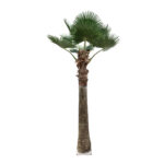 GloboStar® Artificial Garden PLANT PALM TREE 21055 Διακοσμητικό Δέντρο Φοίνικα  Φ240 x Υ400cm - Image 2