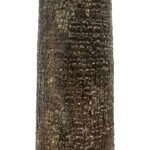 GloboStar® Artificial Garden PLANT PALM TREE 21055 Διακοσμητικό Δέντρο Φοίνικα  Φ240 x Υ400cm - Image 5