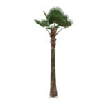GloboStar® Artificial Garden PLANT PALM TREE 21056 Διακοσμητικό Δέντρο Φοίνικα  Φ240 x Υ500cm - Image 2