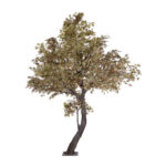 GloboStar® Artificial Garden MAPLE TREE 21058 Τεχνητό Διακοσμητικό Δέντρο Σφένδαμος Υ400cm - Image 2