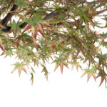 GloboStar® Artificial Garden MAPLE TREE 21058 Τεχνητό Διακοσμητικό Δέντρο Σφένδαμος Υ400cm - Image 3