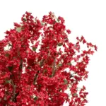GloboStar® Artificial Garden AZALEA TREE 21059 Τεχνητό Διακοσμητικό Δέντρο Αζαλέα Μ230 x Π230 x Υ300cm - Image 3
