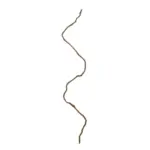 GloboStar® Artificial Garden DRY VINE 21067 Τεχνητό Διακοσμητικό Κλαδί Ξηρό Αμπέλι Μ8 x Π8 x Υ180cm - Σετ 10 τμχ - Image 2