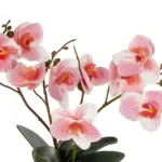 GloboStar® Artificial Garden PINK ORCHID 21075 Διακοσμητικό Φυτό Ροζ Ορχιδέα  Υ30cm - Image 3