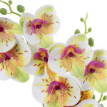 GloboStar® Artificial Garden WHITE - FUCHSIA ORCHID 21078 Διακοσμητικό Φυτό Λευκή - Φούξια Ορχιδέα Υ45cm - Image 3