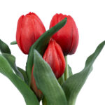 GloboStar® Artificial Garden RED TULIP 21094 Διακοσμητικό Φυτό Κόκκινη Τουλίπα Υ23cm - Image 3