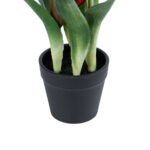 GloboStar® Artificial Garden RED TULIP 21094 Διακοσμητικό Φυτό Κόκκινη Τουλίπα Υ23cm - Image 4