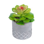 GloboStar® Artificial Garden SUCCULENT SEDEVERIA 21095 Διακοσμητικό Φυτό Παχύφυτο Σεντεβέρια Υ17cm - Image 2