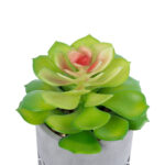 GloboStar® Artificial Garden SUCCULENT SEDEVERIA 21095 Διακοσμητικό Φυτό Παχύφυτο Σεντεβέρια Υ17cm - Image 3