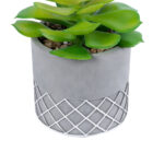 GloboStar® Artificial Garden SUCCULENT SEDEVERIA 21095 Διακοσμητικό Φυτό Παχύφυτο Σεντεβέρια Υ17cm - Image 4