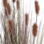 GloboStar® Artificial Garden BROWN LAGURUS 21099 Διακοσμητικό Φυτό Καφέ Λαγοουρά Υ70cm - Image 3