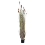 GloboStar® Artificial Garden BROWN LAGURUS 21103 Διακοσμητικό Φυτό Καφέ Λαγοουρά Υ180cm - Image 2