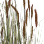 GloboStar® Artificial Garden BROWN LAGURUS 21103 Διακοσμητικό Φυτό Καφέ Λαγοουρά Υ180cm - Image 3