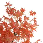 GloboStar® Artificial Garden MAPLE TREE 21105 Τεχνητό Διακοσμητικό Δέντρο Σφένδαμος Μ90 x Π90 x Υ210cm - Image 3