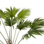 GloboStar® Artificial Garden WASHINGTONIA FILIFERA TREE 21107 Τεχνητό Διακοσμητικό Φοινικόδεντρου Υ200cm - Image 3