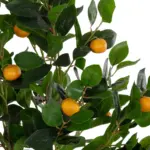 GloboStar® Artificial Garden ORANGE TREE 21108 Τεχνητό Διακοσμητικό Δέντρο Πορτοκαλιά Μ70 x Π50 x Υ120cm - Image 3