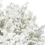 GloboStar® Artificial Garden ALMOND TREE 21113 Τεχνητό Διακοσμητικό Δέντρο Αμυγδαλιά Μ180 x Π180 x Υ200cm - Image 3