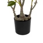 GloboStar® Artificial Garden CAMELIA 21115 Τεχνητό Διακοσμητικό Δέντρο Καμέλια Μ50 x Π30 x Υ90cm - Image 4