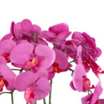 GloboStar® Artificial Garden DARK PINK ORCHID 21123 Διακοσμητικό Φυτό Φούξια Ορχιδέα Υ50cm - Image 3