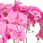 GloboStar® Artificial Garden PINK ORCHID 21124 Διακοσμητικό Φυτό Ροζ Ορχιδέα Υ50cm - Image 3