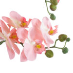GloboStar® Artificial Garden SALMON PINK ORCHID 21129 Διακοσμητικό Φυτό Φούξια Ορχιδέα Υ43cm - Image 3
