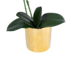 GloboStar® Artificial Garden BLUE ORCHID 21130 Διακοσμητικό Φυτό Μπλε Ορχιδέα Υ43cm - Image 4